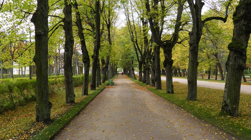 Парк/Фото: flickr.com/Alexey Ivanov