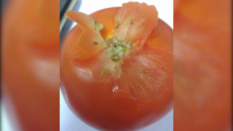 Фото: ursn.spb.ru