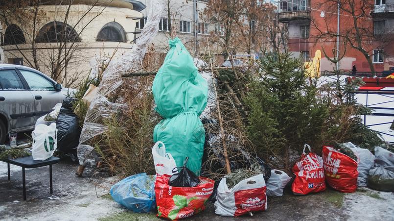 Фото: vk.com/elki_palki_bizoni/ Vasilisa Gorlanova