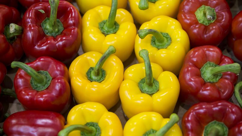 Фото: globallookpress.com/ Emmanuele Contini