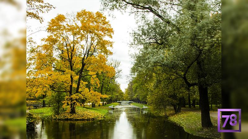 Фото: Евгений Пашковский