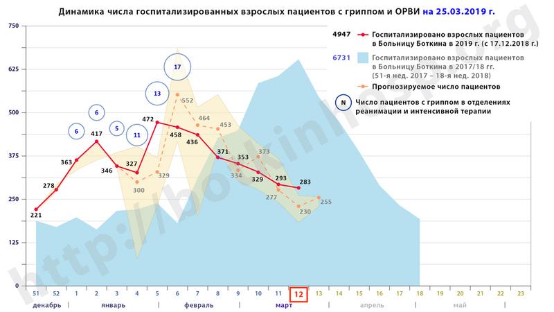 Фото: пресс-служба СПб ГБУЗ «Клиническая инфекционная больница имени С.П. Боткина»