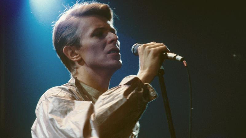 Дэвид Боуи/ Фото: globallookpress.com/ Hans H. Kirmer