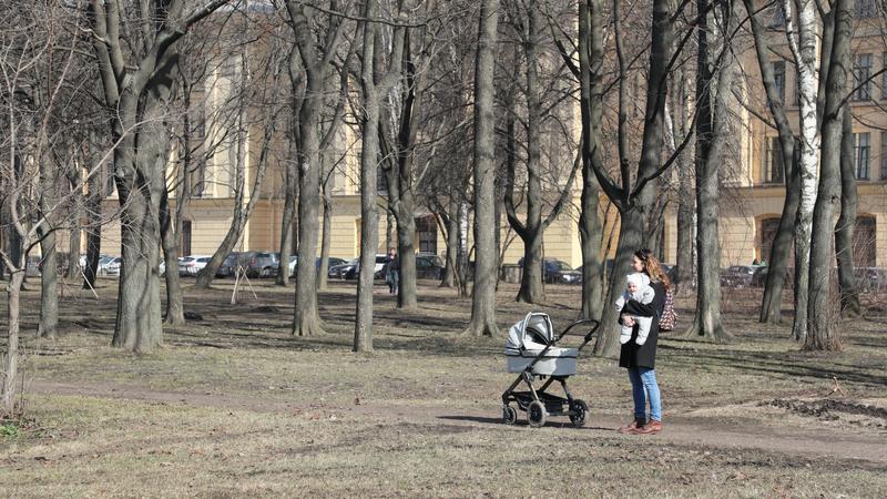 Заневский парк фото после реконструкции