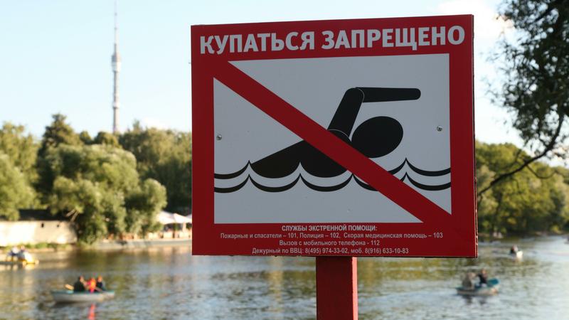 Фото: globallookpress.com/ Sergey Kovalev