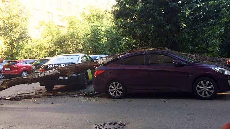 Фото: vk.com/ spb_today