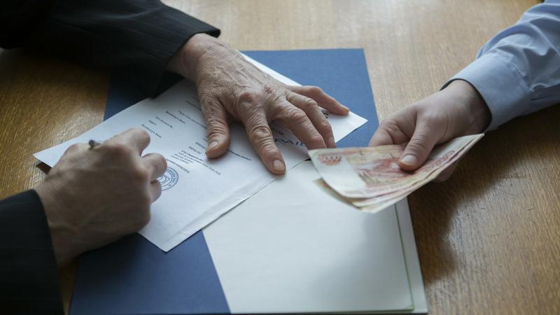 Фото: globallookpress.com/ Nikolay Gyngazov