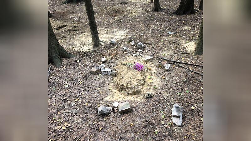 Фото: сообщество «Девяткино LIVE» в vk.com