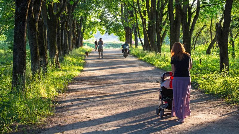 Фото: pxhere.com