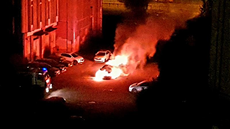 Фото:  vk.com/ Роман Андреев