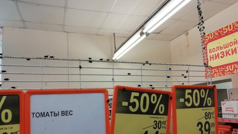 Фото: vk.com/unreleased_dtp