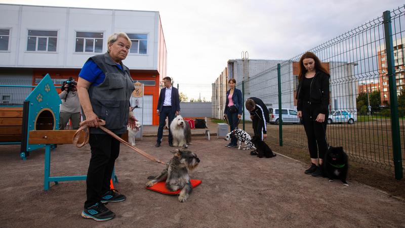 Фото: пресс-служба Приморского района 