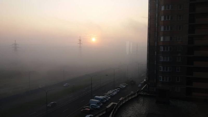 Петербуржцы поделились снимками окутанного утренним туманом го...