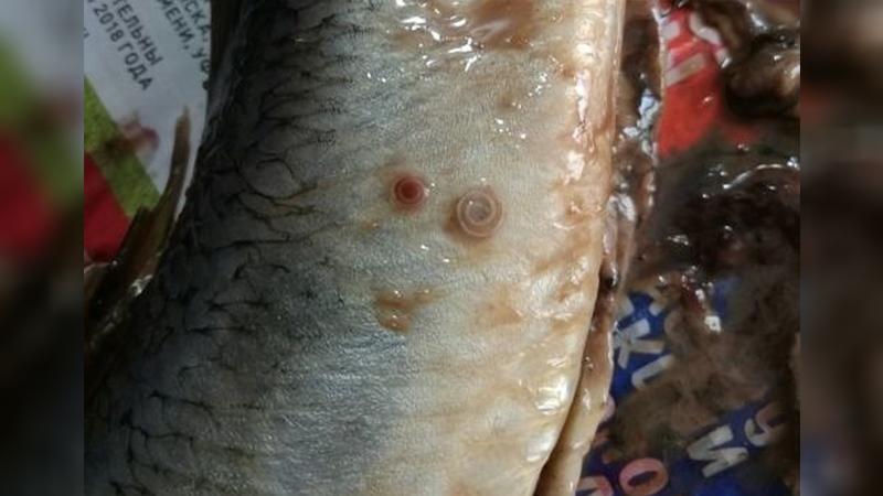 Фото: сообщество 