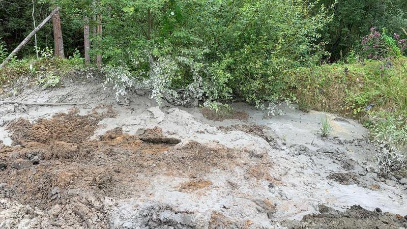 Фото: пресс-служба Прокуратуры Санкт-Петербурга