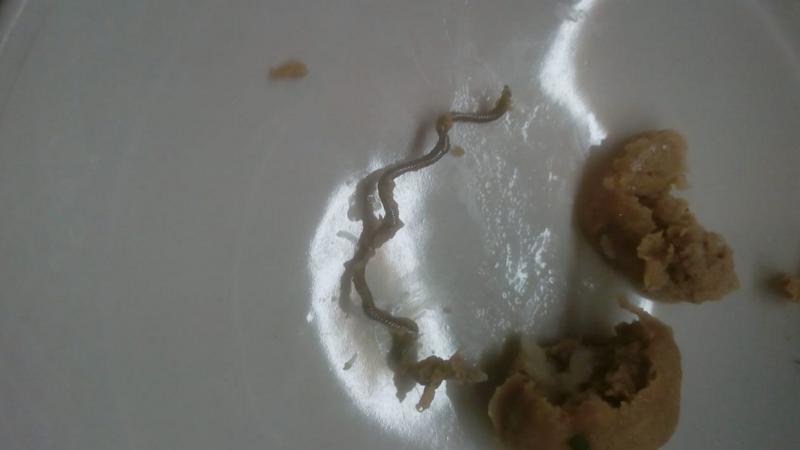 Фото: vk.com/unreleased_dtp