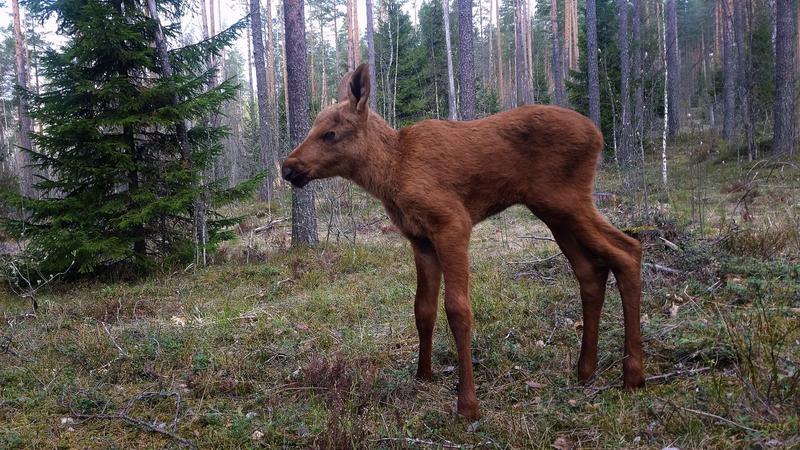 Фото: сообщество 