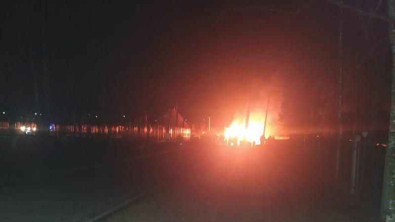 Фото: пресс-служба ГУ МВД России по Санкт-Петербургу и Ленинградской области 