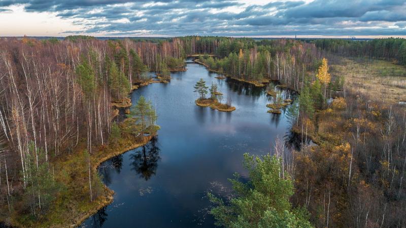 Фото: природно-заповедный фонд Санкт-Петербурга