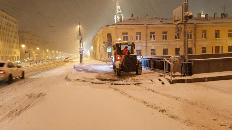 Фото: пресс-служба комитета по благоустройству