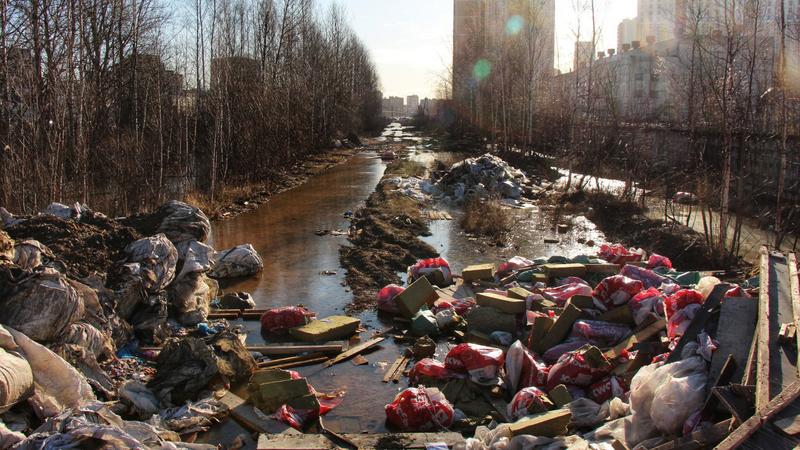 Фото: Олег Соловьев/ vk.com/spb_today