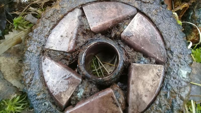 Фото: vk.com/Поисковый отряд 