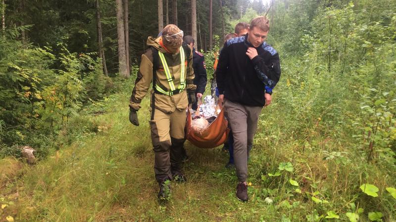 Фото: ПСО «Лиза Алерт Санкт-Петербург»