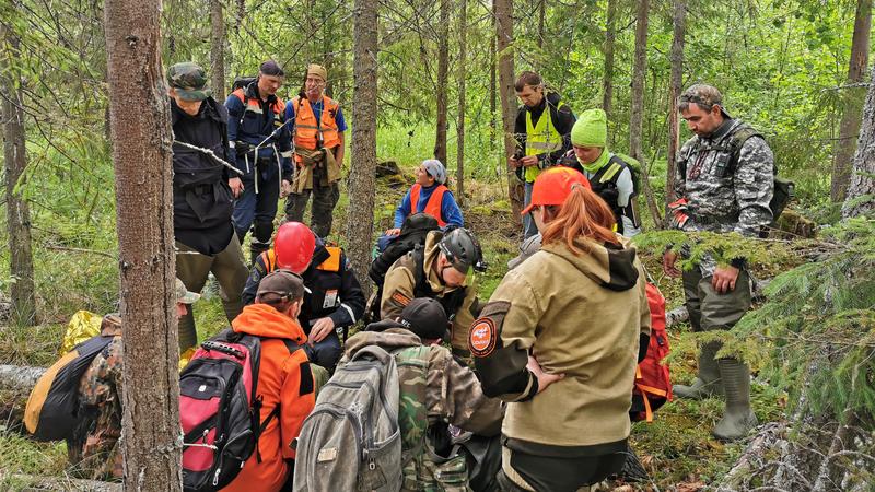 Фото предоставлено ПСО «Лиза Алерт Санкт-Петербург»