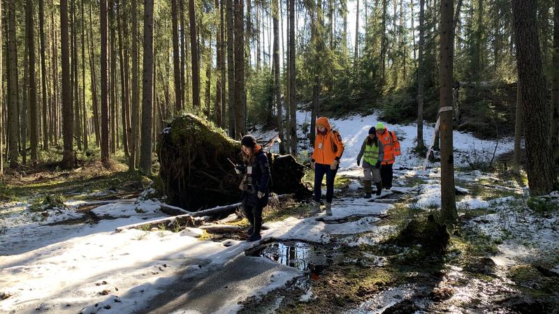 Фото предоставлено ПСО «Лиза Алерт Санкт-Петербург»