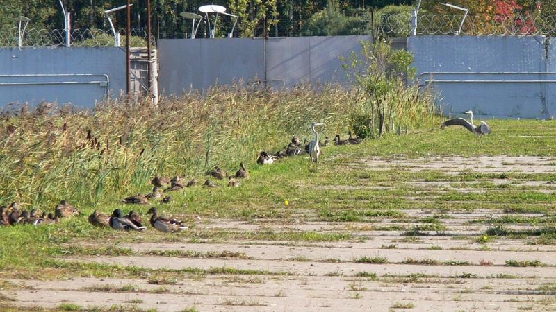  Фото: пресс-служба ГУП «Водоканал Санкт-Петербурга»