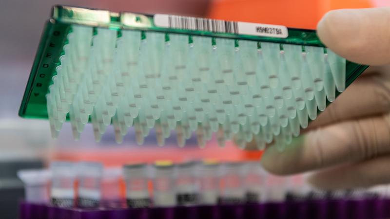 Фото: Robert Michael/ globallookpress.com