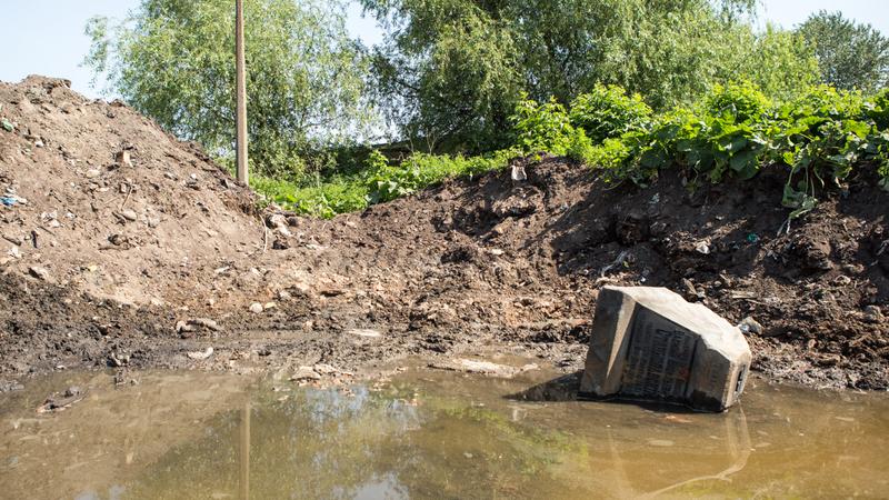 Фото: пресс-служба СПбГУ