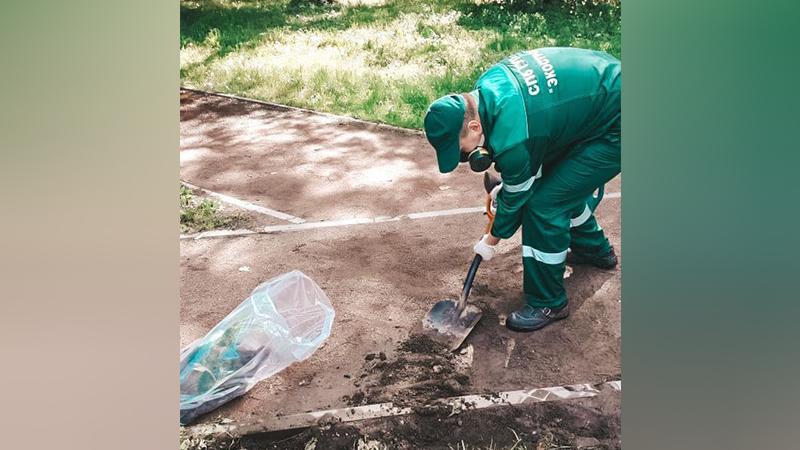 Фото: пресс-служба комитета по природопользованию, охране окружающей среды и обеспечению экологической безопасности