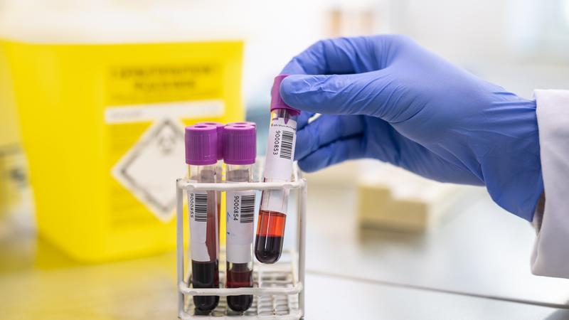 Фото: Matthias Balk/globallookpress.com