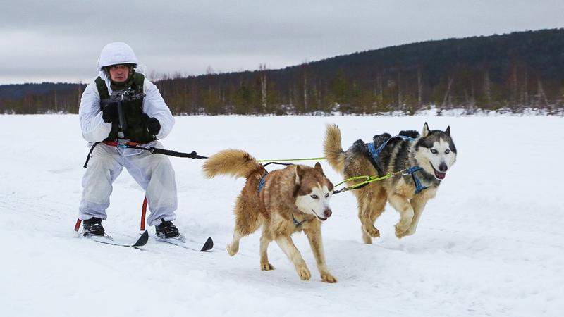 Фото: David Tanecek/globallookpress.com