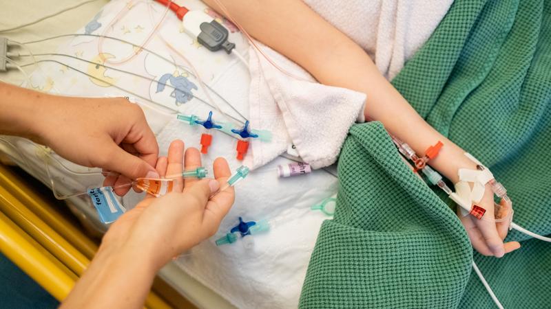 Фото: Ole Spata/ globallookpress.com