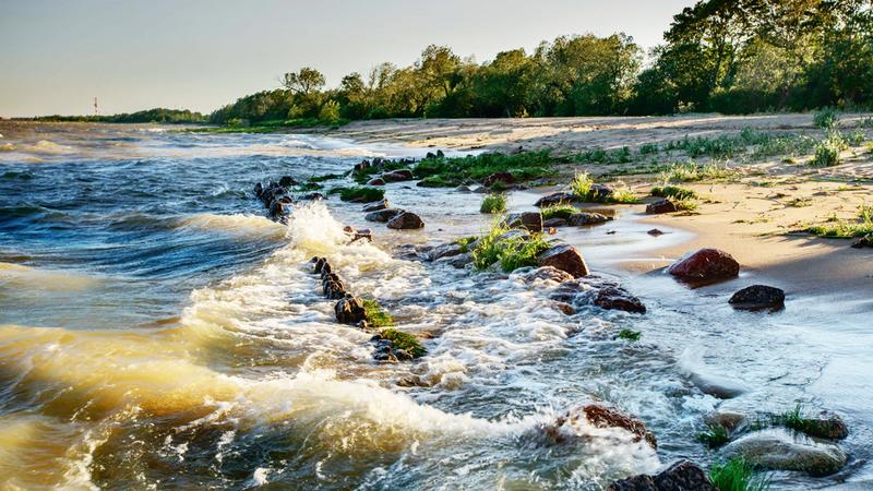 Фото: ГКУ «Дирекция особо охраняемых природных территорий Санкт-Петербурга»