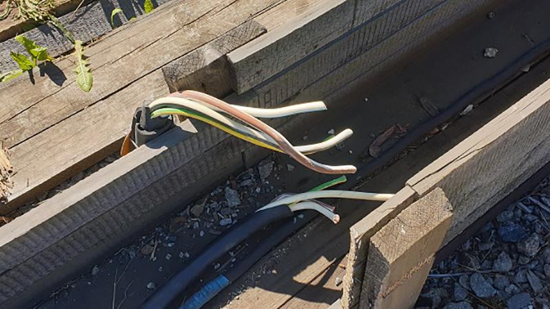 Фото: пресс-служба УТ МВД России по СЗФО