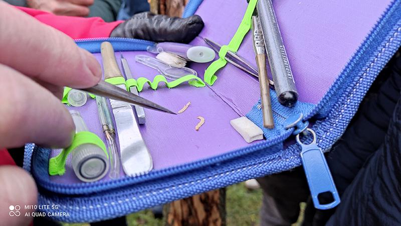 Фото: пресс-служба Комитета по благоустройству Петербурга