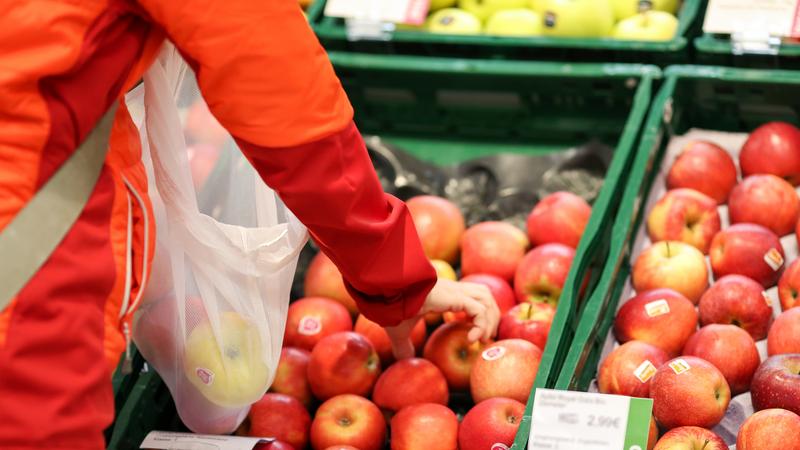 Фото: Jan Woitas/ globallookpress.com