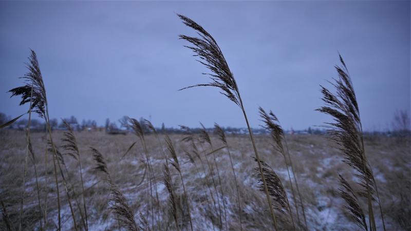 Фото: Анастасия Голубничая