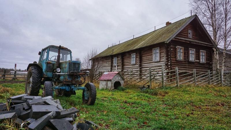 Фото: Анастасия Голубничая 