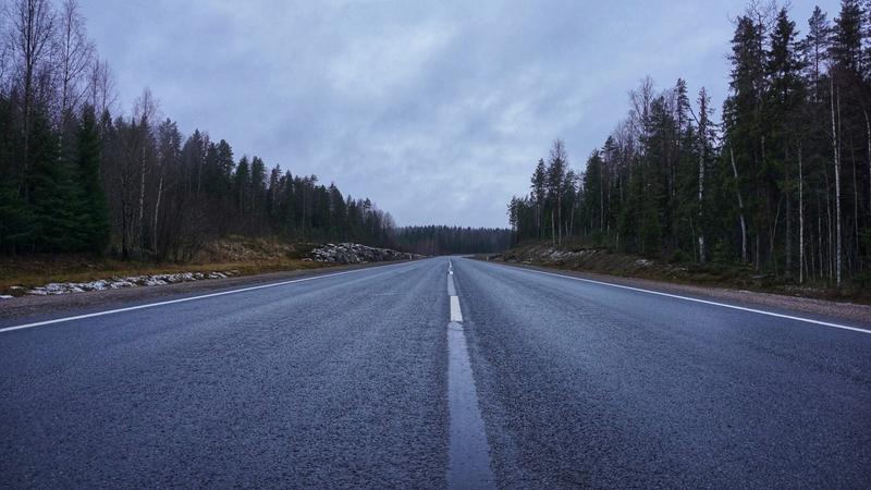 Фото: Анастасия Голубничая 
