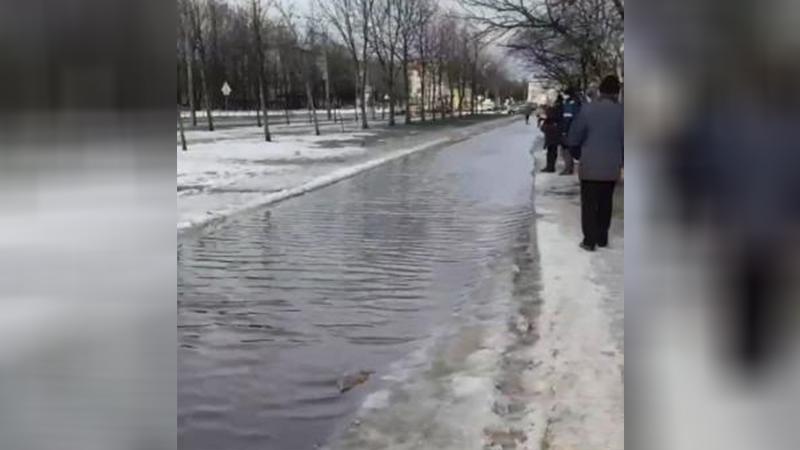 Фото: соцсети