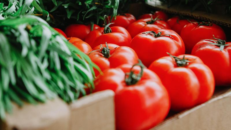 Фото: pexels.com