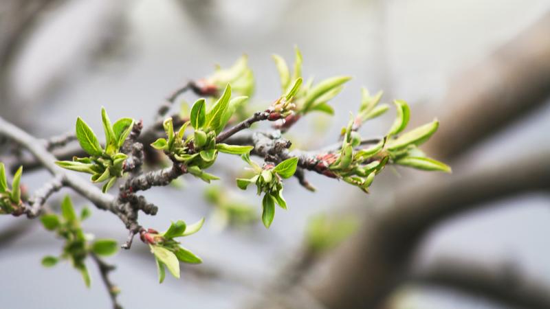 Фото: pexels.com