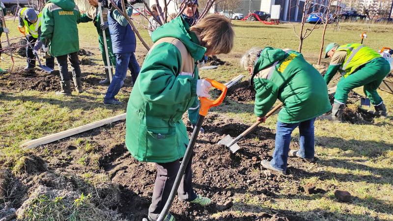 Фото: пресс-служба комитета по благоустройству