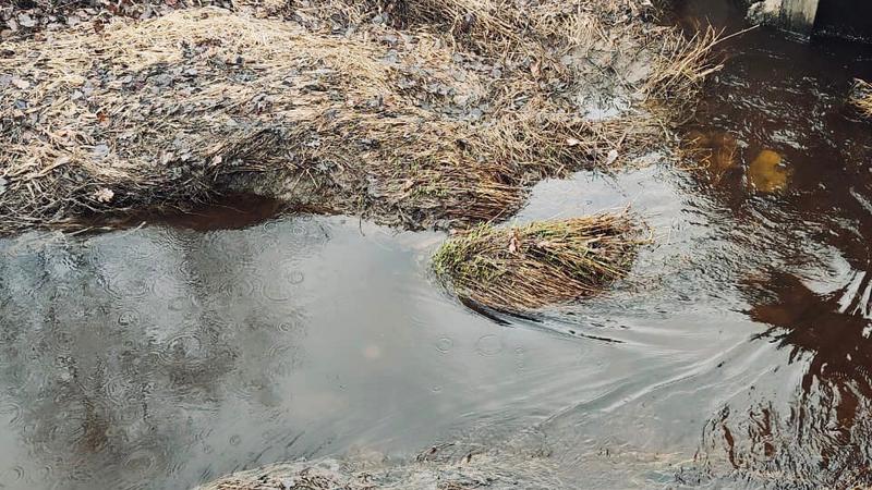  Комитета государственного экологического надзора Ленинградской области