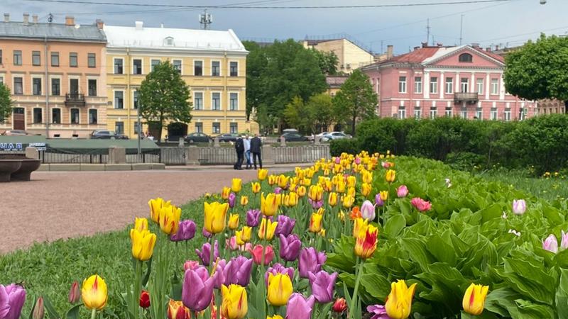 Фото: пресс-служба Комитета по благоустройству Санкт-Петербурга