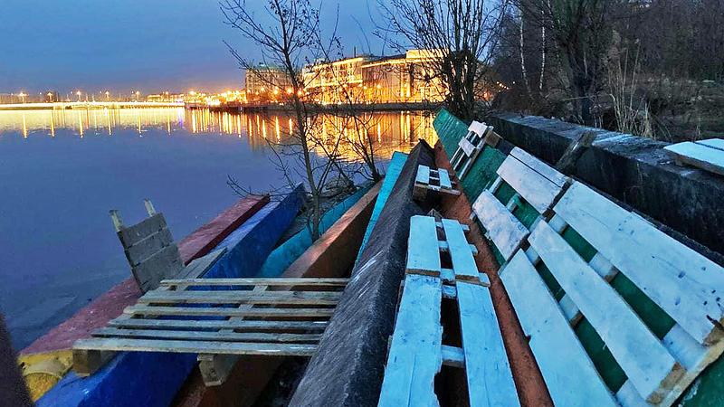 Фото: zarosli.space